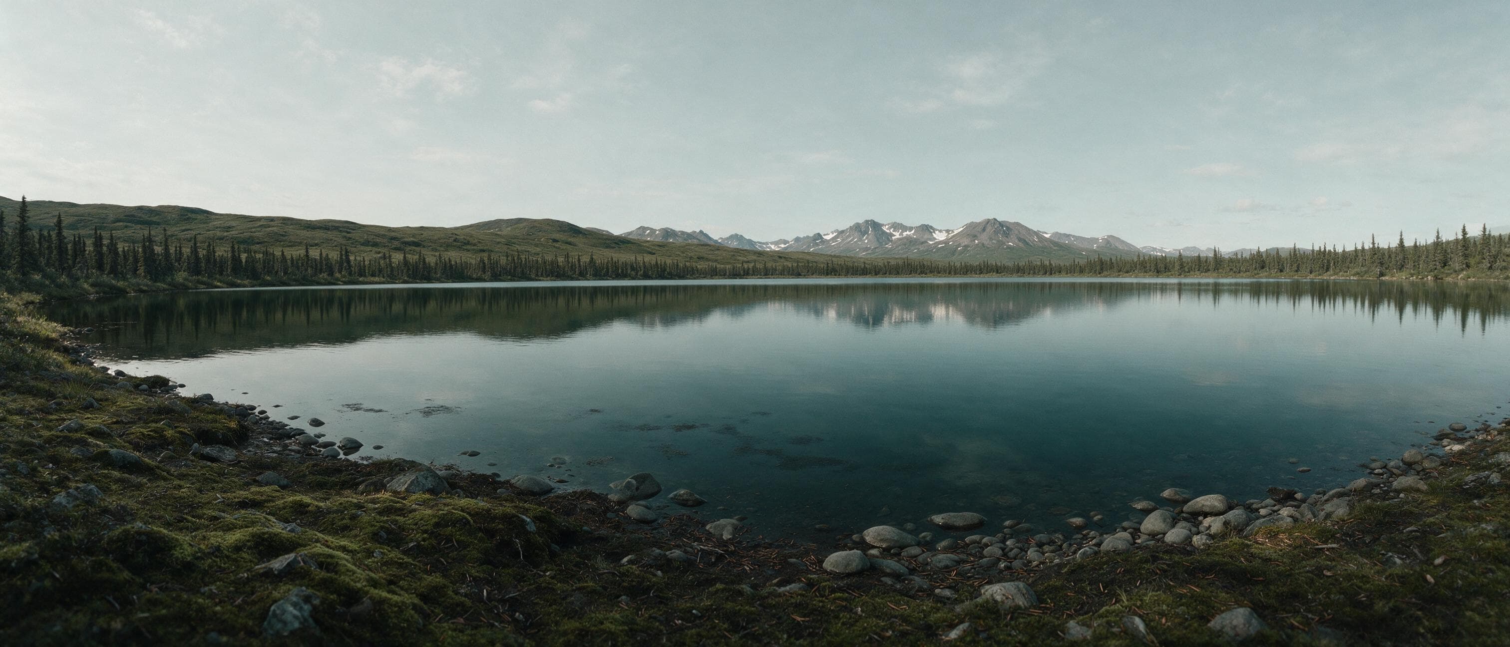 A calm Alaska lake under overcast light, a low spruce tree line along the far shore